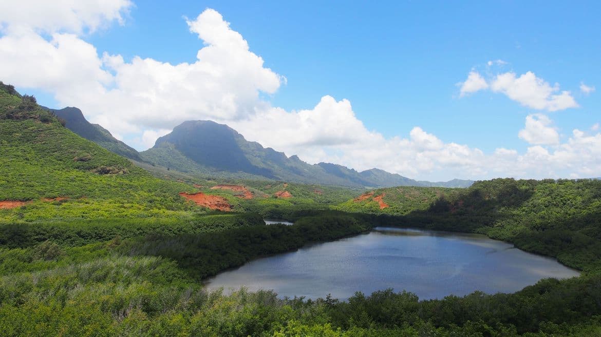 fishpond_kauai